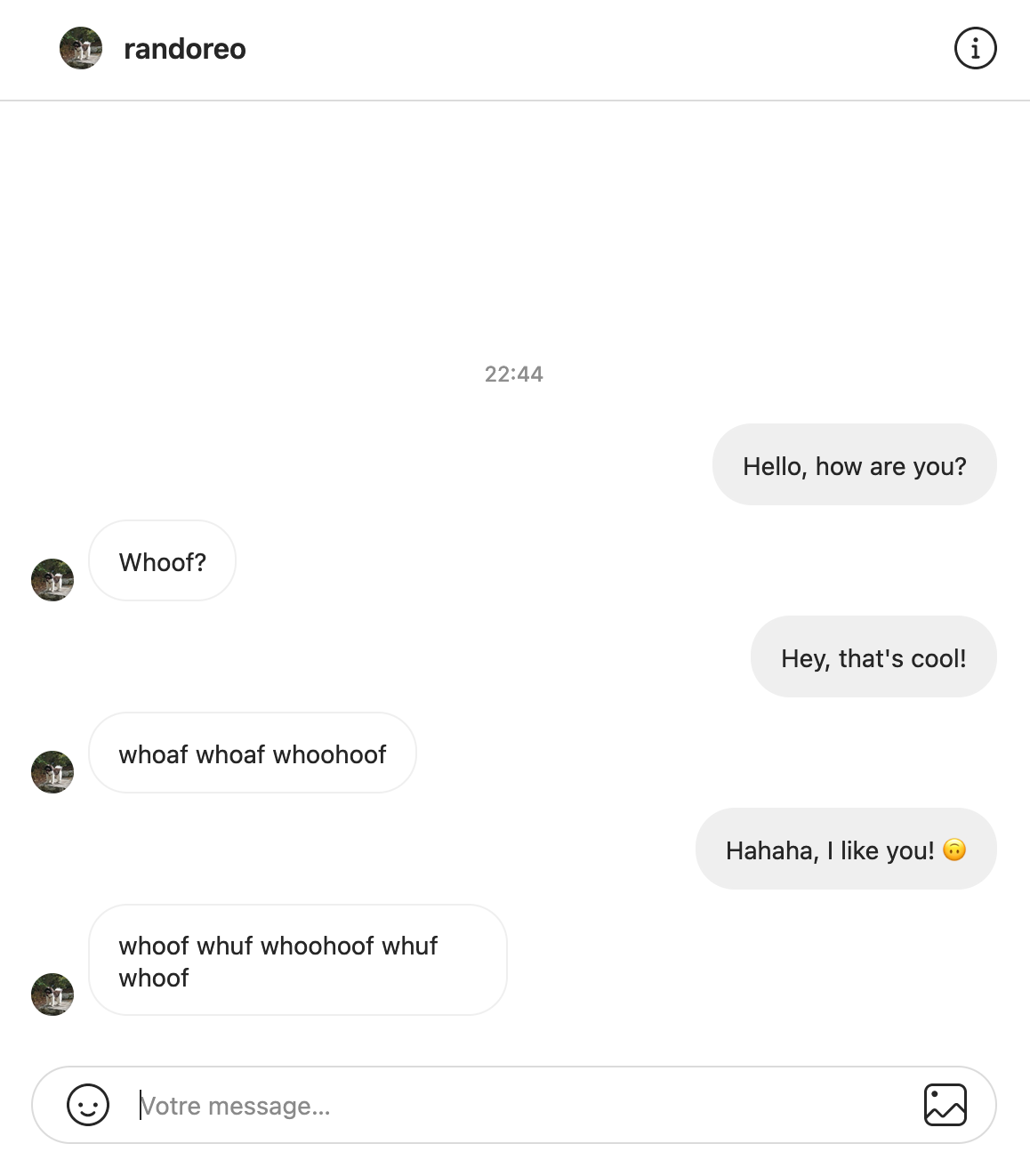 Instagram chatbots: what they are and how to make them